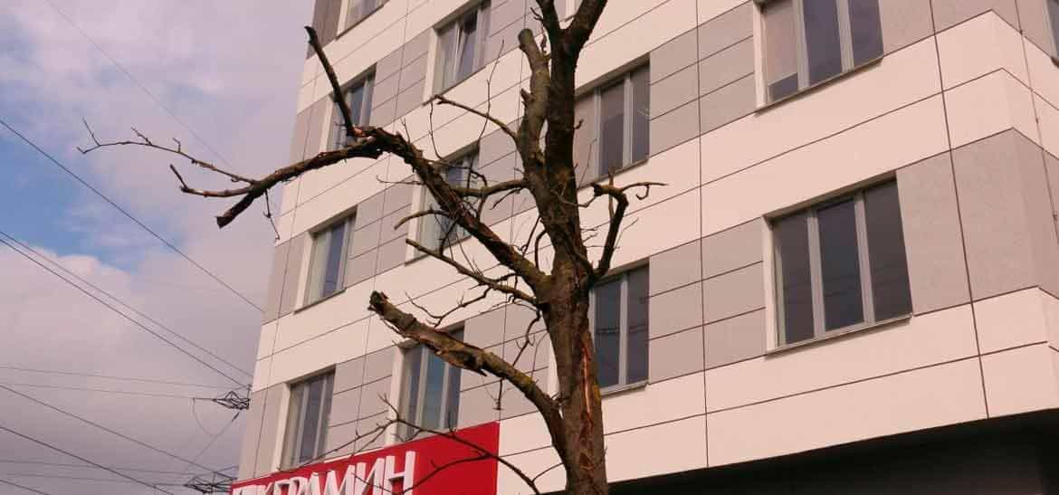 Минский колледж предпринимательства